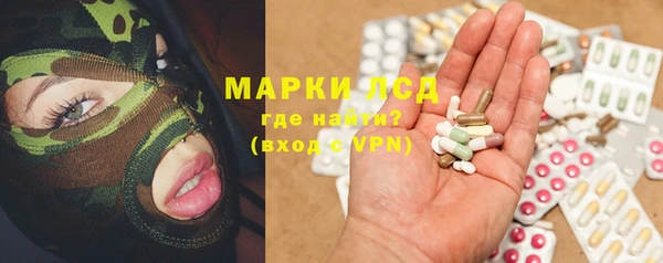 спайс Арсеньев