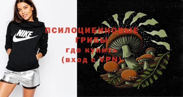 соль ск Новодвинск