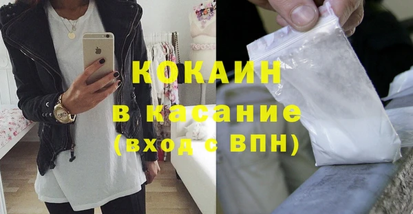 прущие грибы Армянск