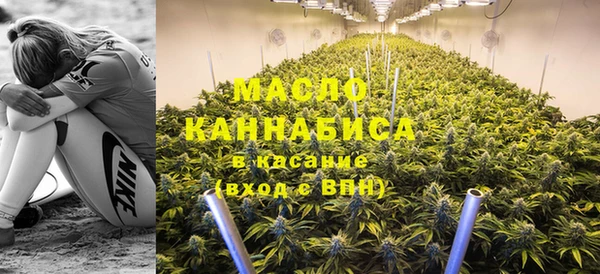 прущие грибы Армянск