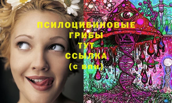 прущие грибы Армянск