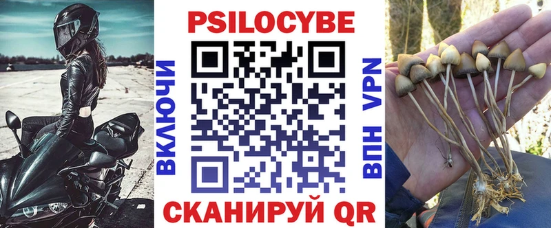 Галлюциногенные грибы Cubensis  Барабинск 